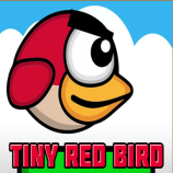 Tiny Red Bird img